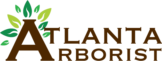 Atlanta Arborist